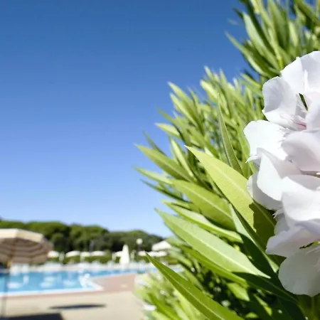 Isa-apartments 2 Beds In With Swimming-pool In San Vincenzo, Just 600 Meters From The Sea *